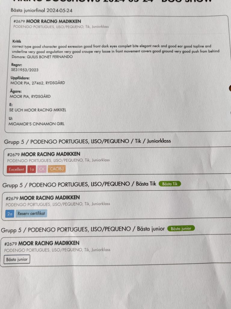 Exc.Ck Junior cert Bästa Junior